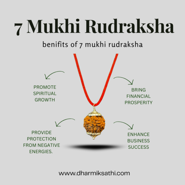 Energized 7 Mukhi Rudraksha – For Wealth, Health & Peace